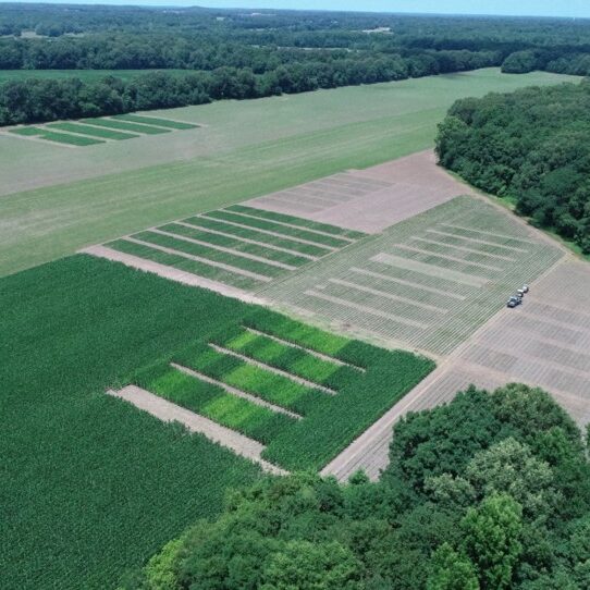 Aerial view of crops planted with precision agriculture equipment